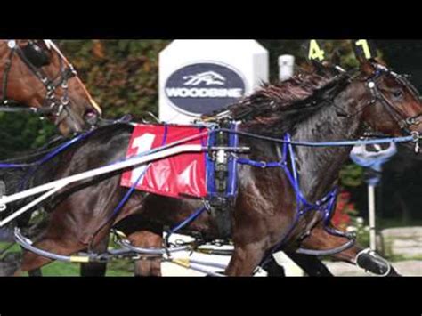 harness racing results|U.S. Trotting.